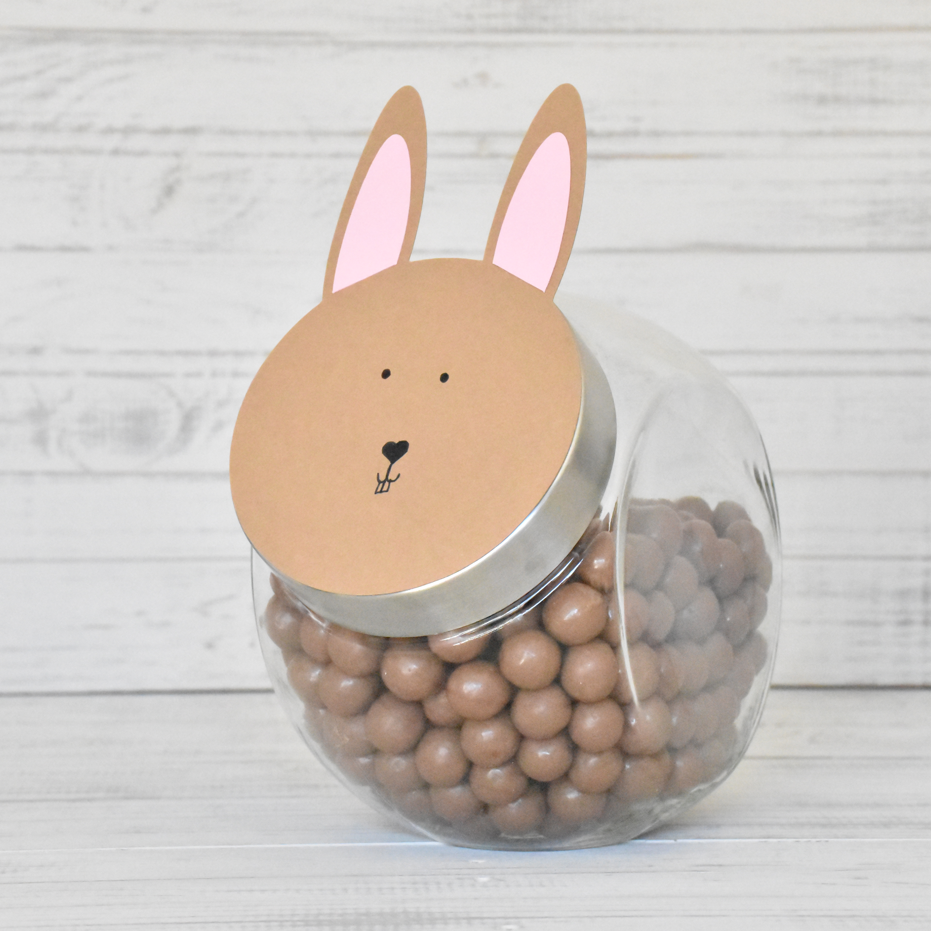 Maltesershase – Bild 2