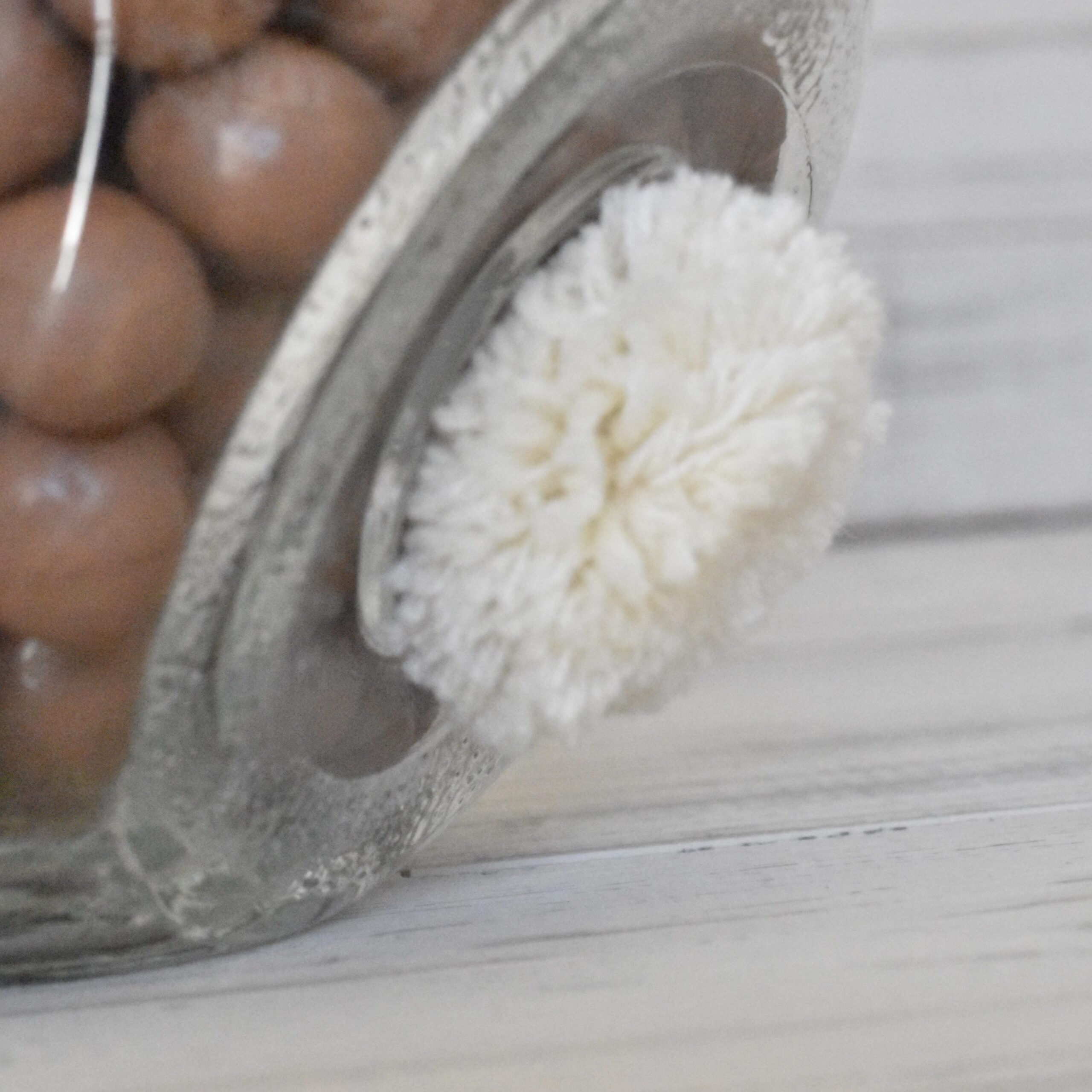 Maltesershase – Bild 4